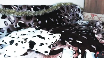 cutiepeppy  college slattern stimulates her damp hole