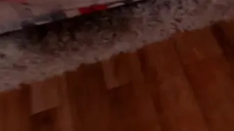 gracefulklara 30.10.2019 0903_myfreecams_9