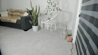 hippybabee myfreecams 2022-july-06 01:24_2_6