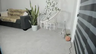 hippybabee myfreecams 2022-july-06 01:24_3_1