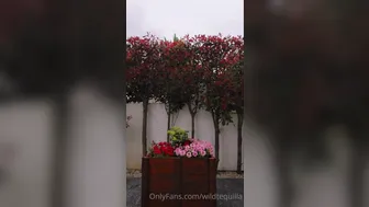 Liliana aka wildtequilla onlyfans february-15-2022