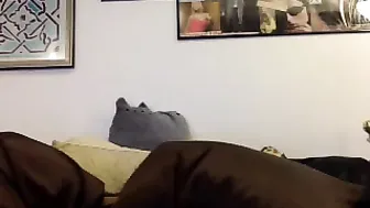 giveuptome  masturbation in public room