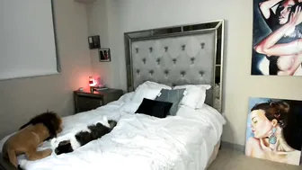 cutekat  Pretty webcam whore