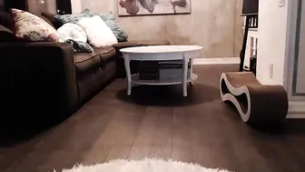 cutesugar  newset webcam record