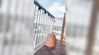 Bella aka bansheebel onlyfans beauty