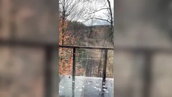 BronwinAurora, Bronwin123