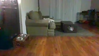 littleone491 chaturbate 17-April-2023 3024468_4