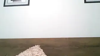 saradolce20  webcam show 2017 1 of January