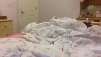 allreall96  cam show 2017 5 of April