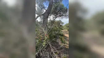 Baby_Buffyvip's Leaked Porn Videos Sept-2024 (2)