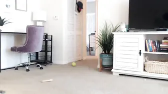 hallieharper  newset webcam record