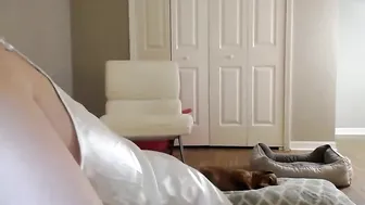 maddiesprings  webcam show 2017 26 of February